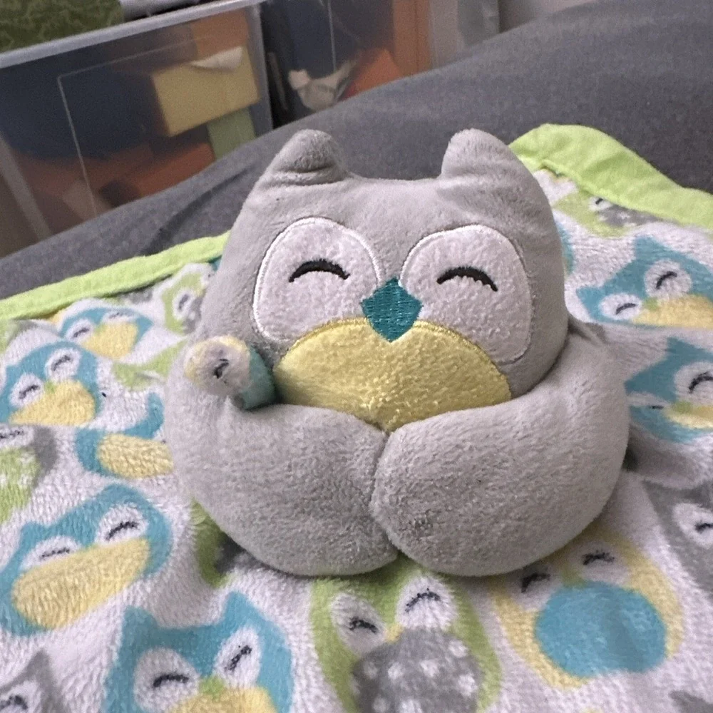 Carters Owl Baby Security Blanket Lovey Plush Stuffed Velour Green‎ Gray Teal